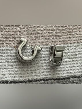 ✨New✨ House of Harlow: Earrings